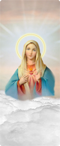 Immaculate Heart Clouds Bronze